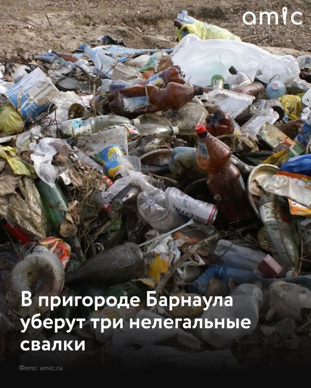 В Барнауле собираются ликвидировать три нелегальные свалки в районе поселка Южного