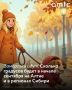 Алтайский край на 1 сентября придут заморозки