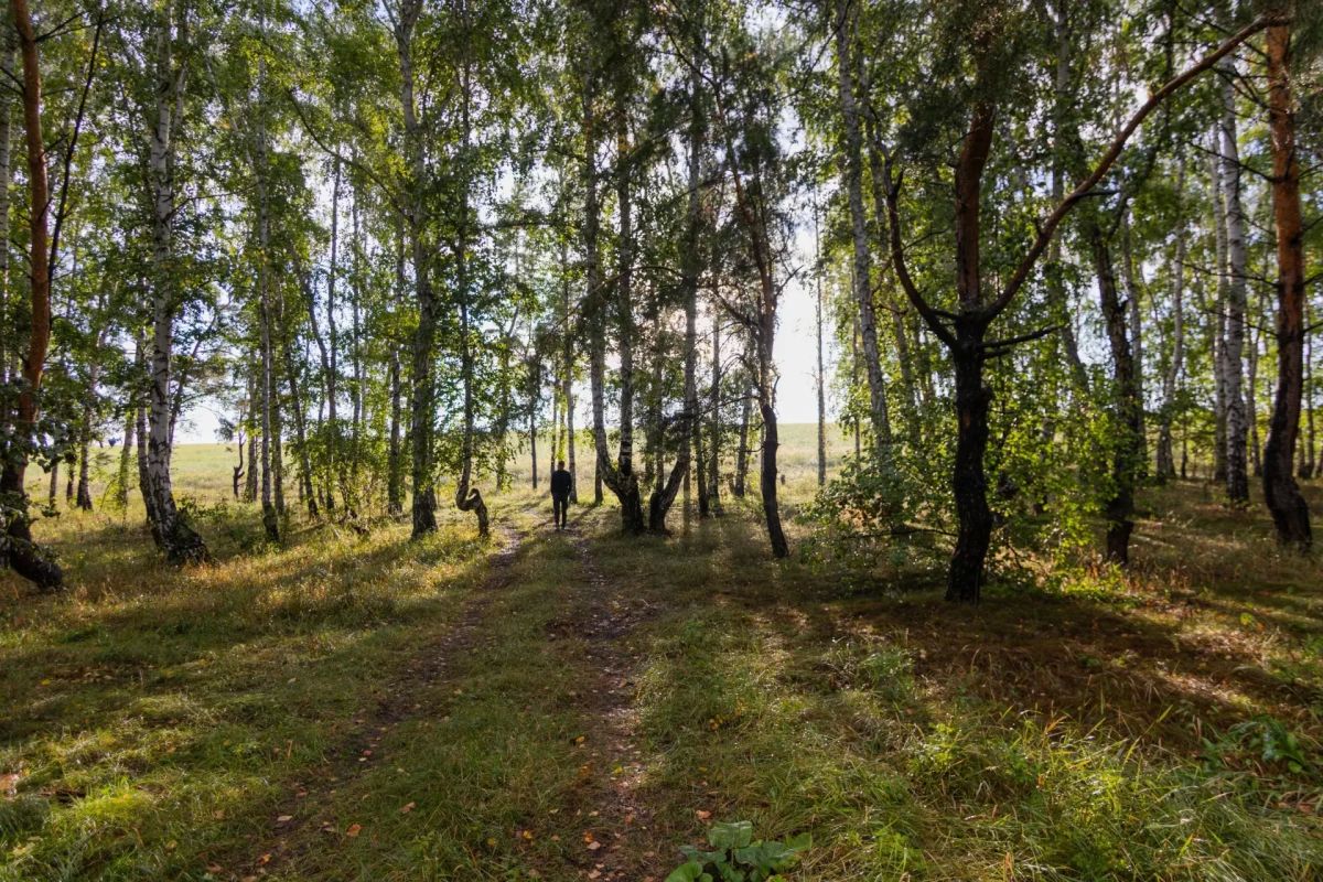 Красивый и таинственный уголок природы на берегу Новосибирского водохранилища находится на границе Каменского и Крутихинского районов края Красивый и таинственный уголок природы на берегу Новосибирского водохранилища находится на границе Каменского и Крутихинского районов края