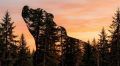 На Байкале алтайские туристы приняли яка за медведя и спрятались на скале