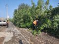 Коммунальщики продолжают наводить порядок на улицах Рубцовска