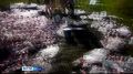 Сегодня в мире отмечают День блога