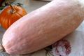 Непривычная банановая тыква: как вырастить необычный урожай