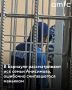 Барнауле идет суд по иску семьи Александра Анисимова — она требует 70 миллионов рублей в качестве компенсации