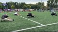 В Алтайском крае подвели итоги турнира по дворовому спорту и многоборью ГТО «Сила России»