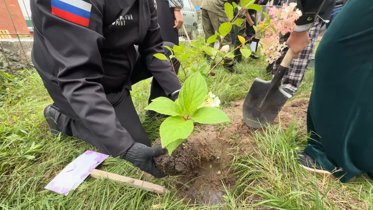 Аллею единства народов России заложили в Алтайском государственном университете Аллею единства народов России заложили в Алтайском государственном университете