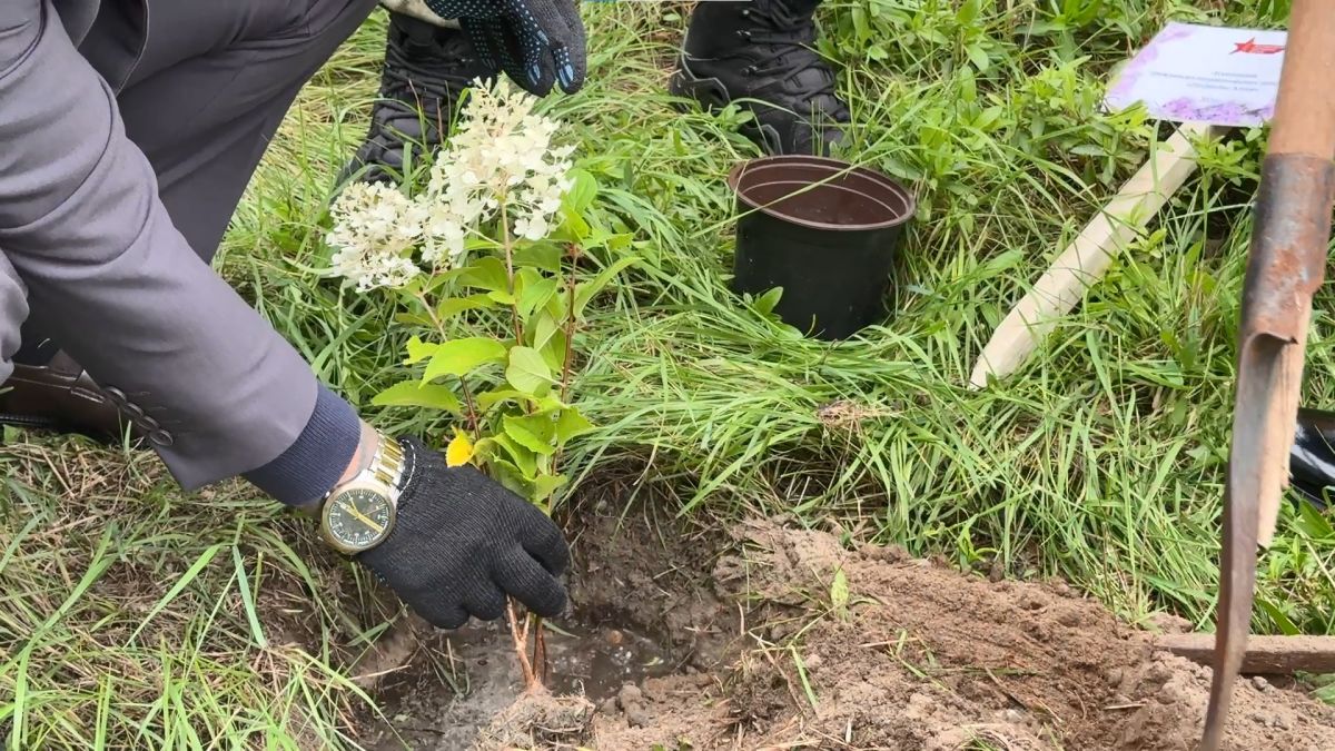 Аллею единства народов России заложили в Алтайском государственном университете Аллею единства народов России заложили в Алтайском государственном университете