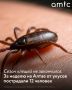 � ���������� ����� � ������ ������������������� ������ �������� �������� ������� � 157 �������