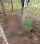 Красноярском крае нашли тела двух женщин со следами нападения медведя