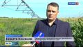 2 миллиона 200 тысяч тонн зерна – уже в краевых закромах