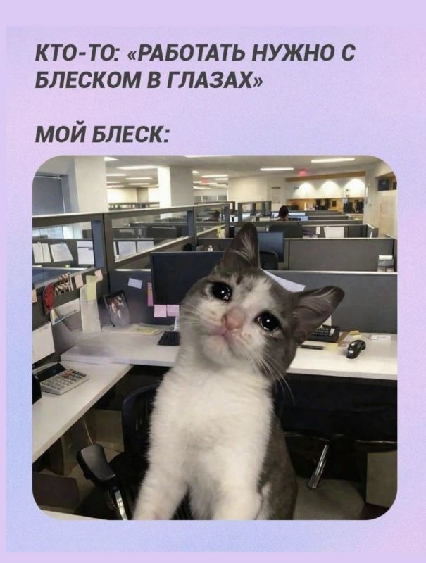 Сотрудники, которые скидывают мемы в общие чаты, работают хуже всех Сотрудники, которые скидывают мемы в общие чаты, работают хуже всех