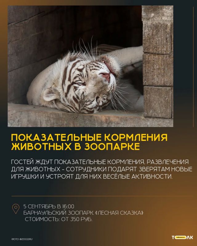 Как провести эти выходные в Барнауле? Как провести эти выходные в Барнауле?