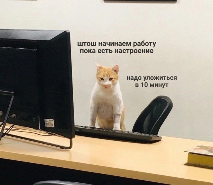Сотрудники, которые скидывают мемы в общие чаты, работают хуже всех Сотрудники, которые скидывают мемы в общие чаты, работают хуже всех