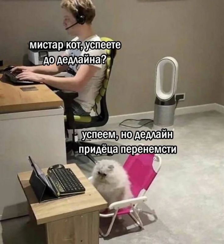 Сотрудники, которые скидывают мемы в общие чаты, работают хуже всех Сотрудники, которые скидывают мемы в общие чаты, работают хуже всех