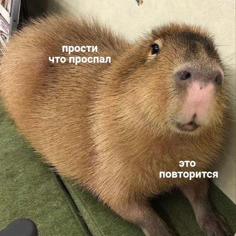 Сотрудники, которые скидывают мемы в общие чаты, работают хуже всех Сотрудники, которые скидывают мемы в общие чаты, работают хуже всех