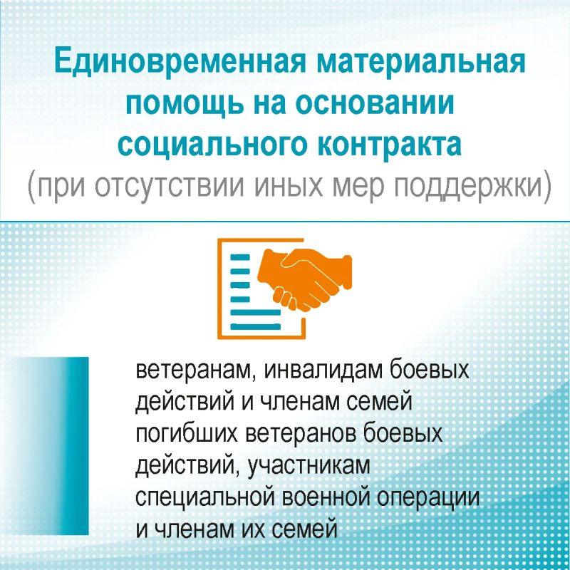 Меры поддержки ветеранов, инвалидов боевых действий и членов семей погибших ветеранов боевых действий, участников специальной военной операции и членов их семей, проживающих на территории Алтайского края Меры поддержки ветеранов, инвалидов боевых действий и членов семей погибших ветеранов боевых действий, участников специальной военной операции и членов их семей, проживающих на территории Алтайского края
