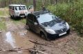 Вечером 5 сентября в лесу под Павловском заблудился житель Барнаула