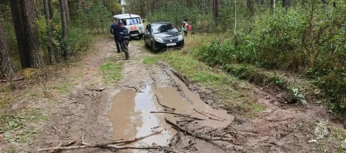 Грибника из Барнаула спасли в лесу под Павловском Грибника из Барнаула спасли в лесу под Павловском