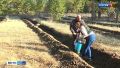 Специалисты Рослесхоза проверяют алтайские леса