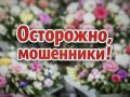 Сюрприз с доставкой букета для жительницы Рубцовска испортили аферисты