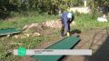 ��������� ��������, ����� ������������, � ����� ��������� ��������� ��������� �������