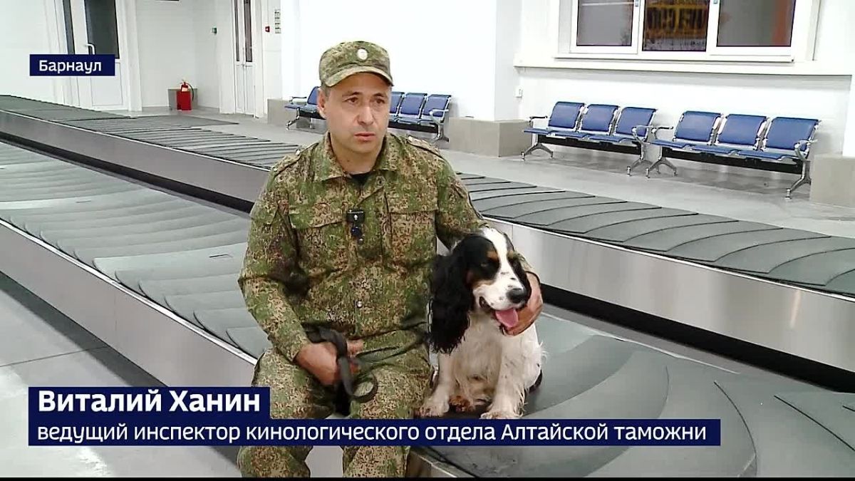 Туристы, прилетевшие в аэропорт Барнаула из Вьетнама, в 46-й раз нарушили закон