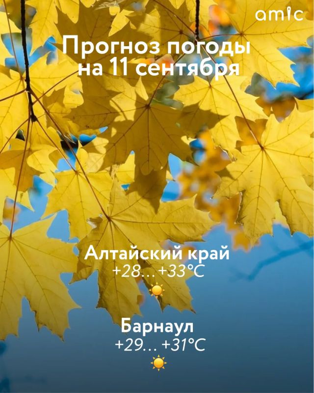 Доброе утро! О погоде в Алтайском крае 11 сентября