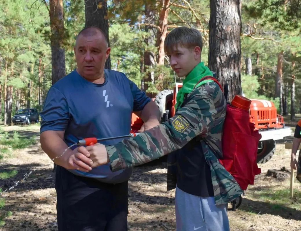 День ленточного бора отметили в Новичихинском районе День ленточного бора отметили в Новичихинском районе