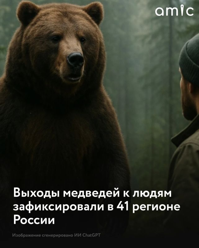 С начала 2026 года случаи выхода медведей к населенным пунктам и появления хищников на городских улицах зафиксировали в 41 регионе России