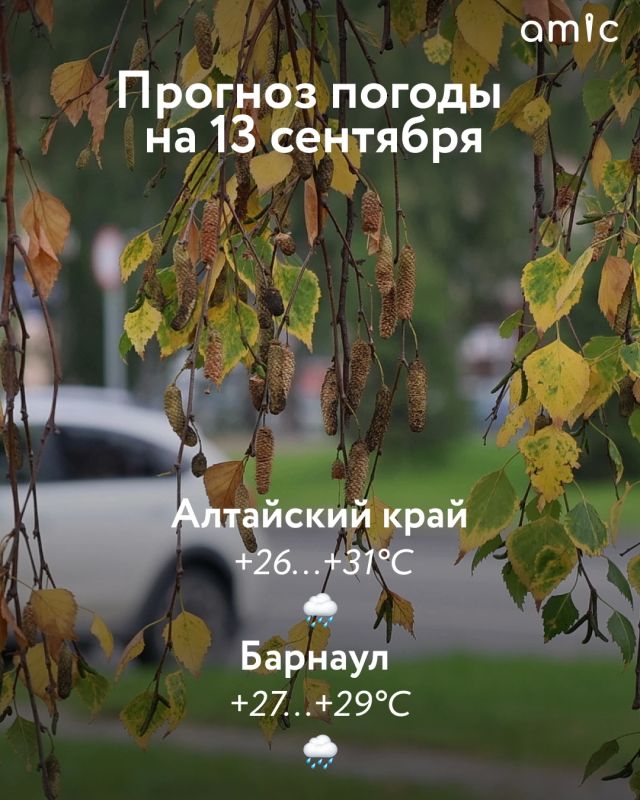 Доброе утро! О погоде в Алтайском крае 13 сентября