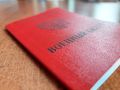Власти Алтайского края в приоритетном порядке решают вопросы бойцов СВО и их семей