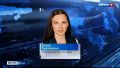 В Сети появились сообщения о выходе медведей к человеку вблизи Барнаула