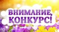 ������� ������� ����ʻ � ������������ ����������� � ����� ���������� ���� �������� ����������� ���� ������� �������