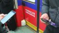Количество заявок на дистанционное электронное голосование в России за пять лет выросло в 1,5 раза