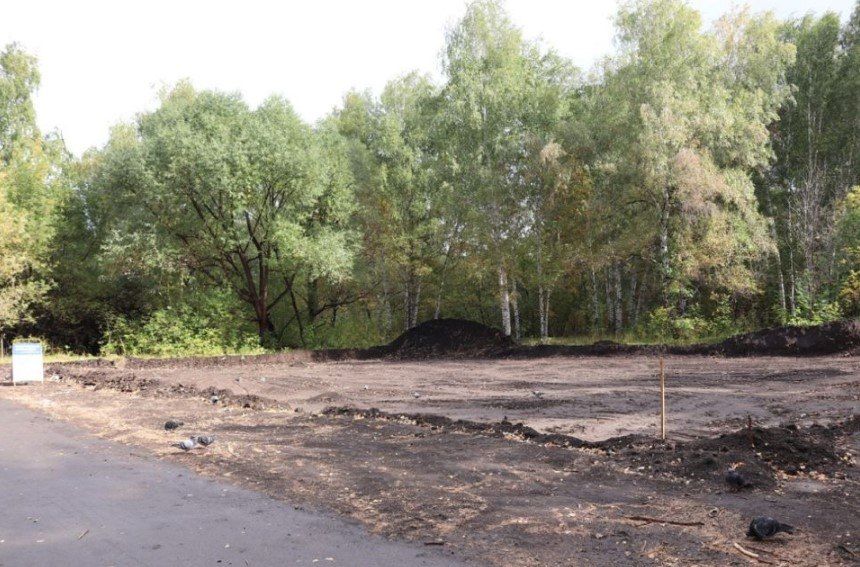 В парке "Целинников" Барнаула возводят спортивную площадку