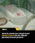 Двухмесячная девочка погибла при ссоре родителей в Заринске