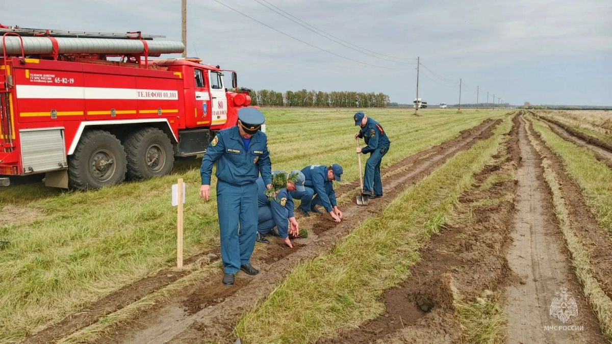 Спасатели Алтайского края присоединились к акции «Семейный лес» Спасатели Алтайского края присоединились к акции «Семейный лес»