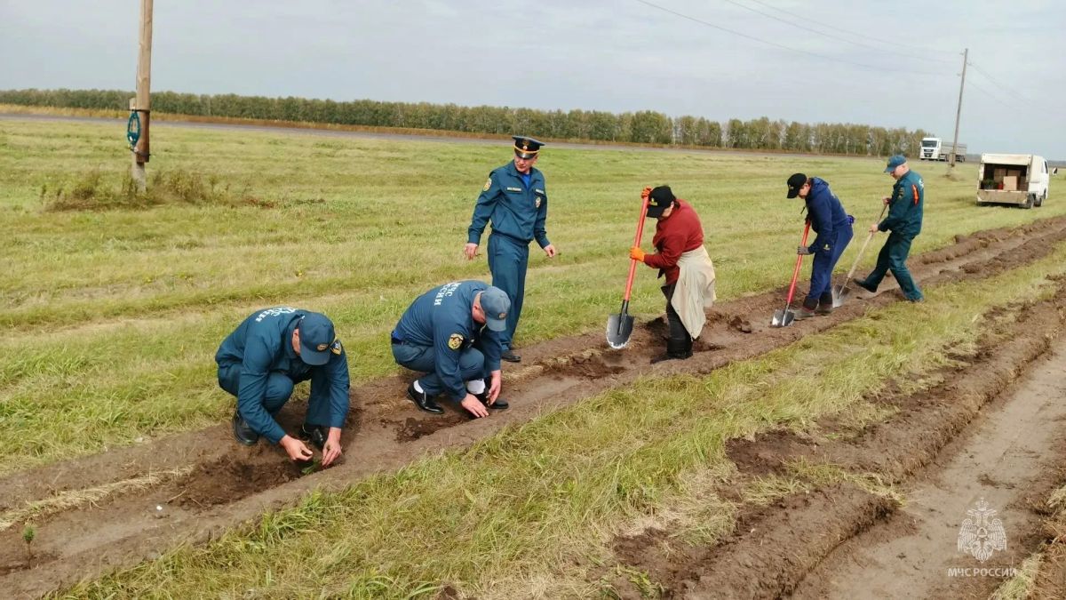 Спасатели Алтайского края присоединились к акции «Семейный лес» Спасатели Алтайского края присоединились к акции «Семейный лес»