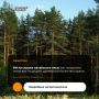 20 сентября в России отмечается День работников леса и лесоперерабатывающей промышленности
