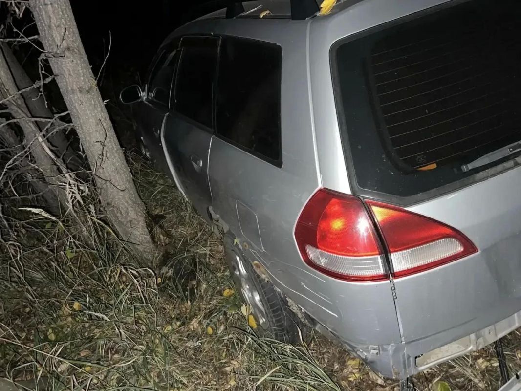 В Алтайском крае в ДТП погиб погонщик гужевой повозки