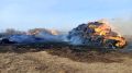 Погибли 12 животных, уничтожены постройки и корма: Славгородской межрайонной прокуратурой утвержден обвинительный акт по уголовному делу о неосторожном обращении с огнем