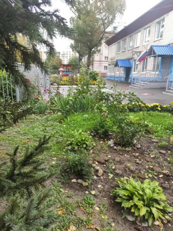 Продолжаем публиковать ваши истории в рамках флешмоба «Детский сад в осенних красках» Продолжаем публиковать ваши истории в рамках флешмоба «Детский сад в осенних красках»