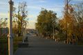 В Нагорном парке Барнаула убирают аварийные деревья