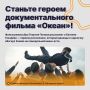 Команда фильма о яхтсмене Евгении Гвоздёве приглашает на съемки