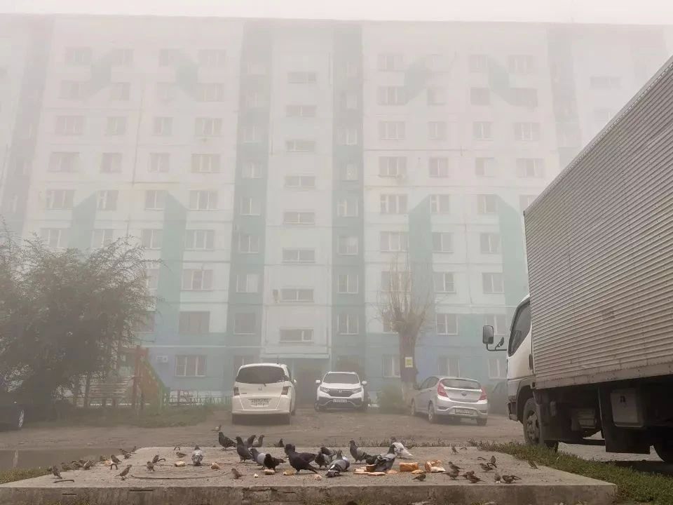Ничего не видно, кроме стен дома Ничего не видно, кроме стен дома