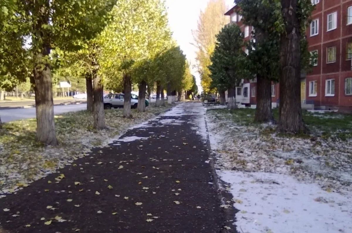 Первый снег ожидают в сентябре в Алтайском крае