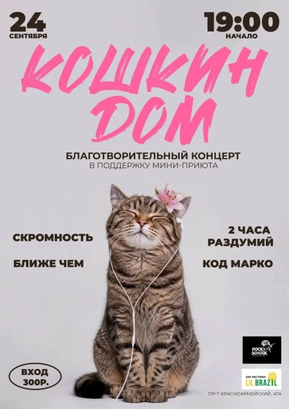 В Барнауле пройдет благотворительный концерт в поддержку мини-приюта «Кошкин Дом»