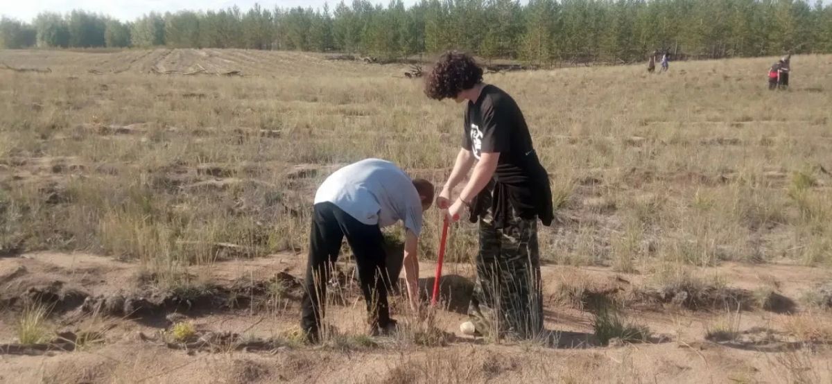 Виктор Томенко: В лесничествах Алтайского края проходит традиционная акция «Сохраним лес». Виктор Томенко: В лесничествах Алтайского края проходит традиционная акция «Сохраним лес».