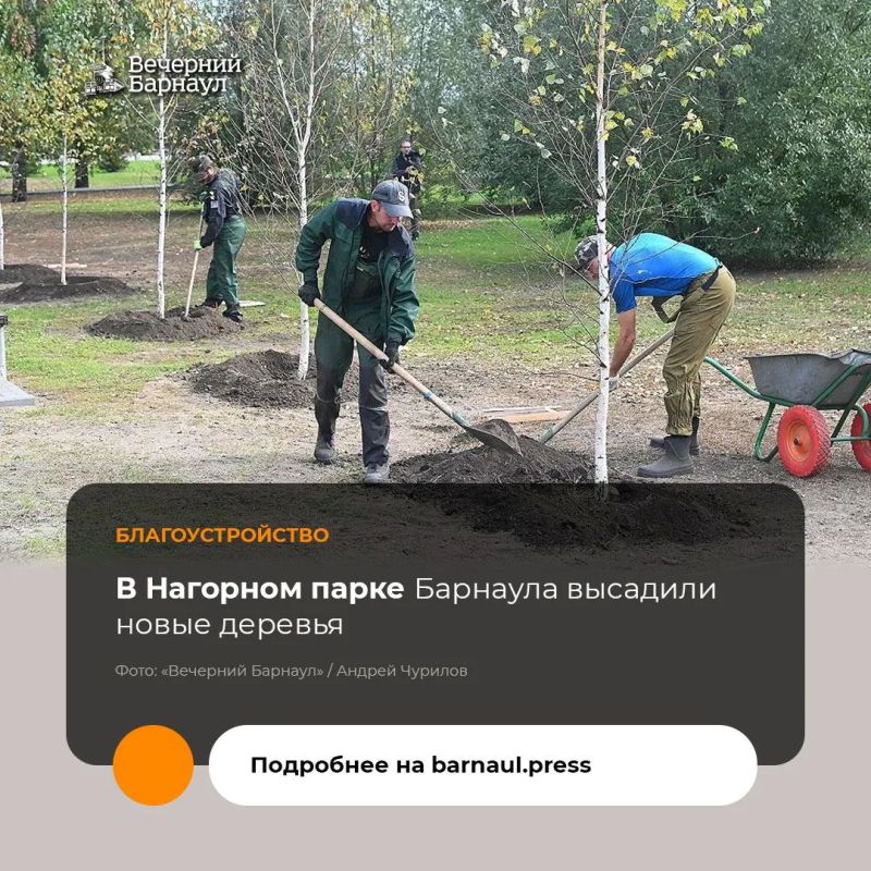 В Барнауле полным ходом идёт осенняя кампания по озеленению