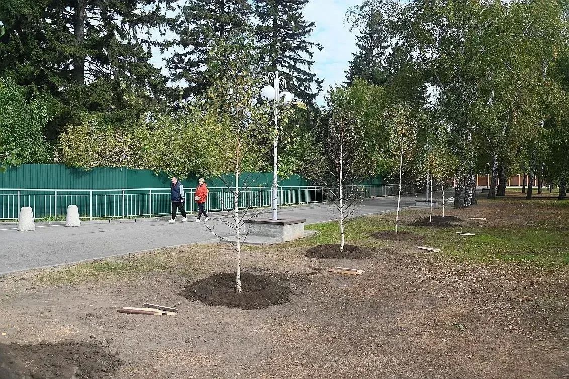 В Нагорном парке Барнаула высадили новые деревья В Нагорном парке Барнаула высадили новые деревья